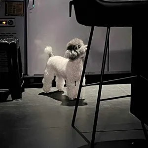 배이퍼웨이브 리뷰 사진