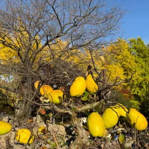 스타벅스 리뷰 사진
