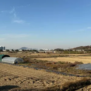 진짬뽕 리뷰 사진