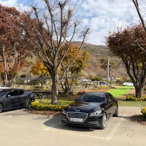 효령매운탕 리뷰 사진