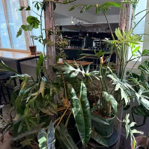 BCBL coffee roasters 리뷰 사진