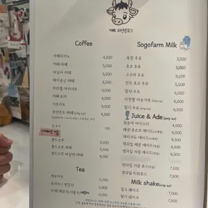 하얀온도 리뷰 사진