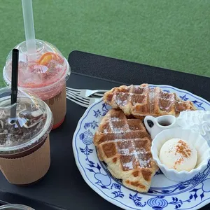 별똥구리 사진 1