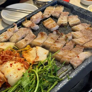 제주흑다돈 사진