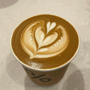 %아라비카 사진