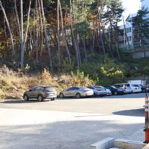 갯마을식당 리뷰 사진