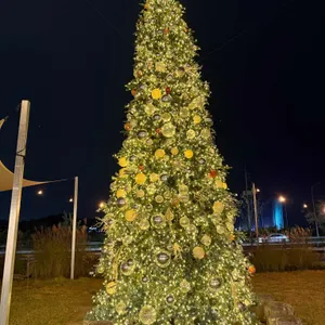 오디디 리뷰 사진