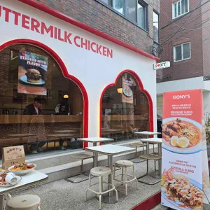 고니스 대표 사진