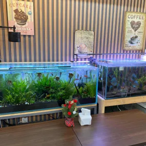 바실렌코베이커리 리뷰 사진