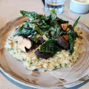 심퍼티쿠시 사진