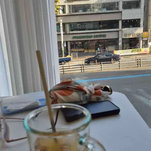 미내랑 대표 사진