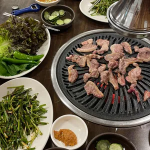 낙동생오리 사진