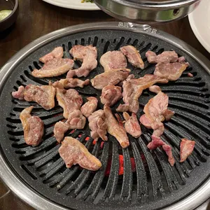 낙동생오리 대표 사진