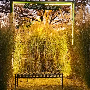 신사와 칼국수 리뷰 사진