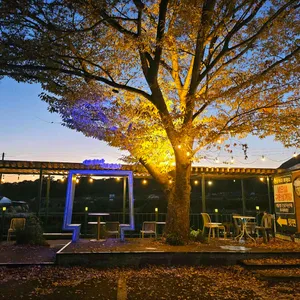 신사와 칼국수 리뷰 사진