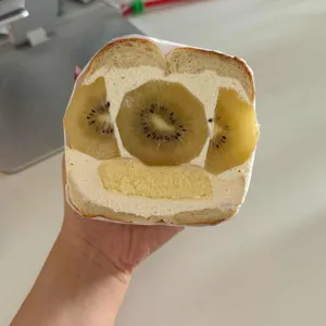 히포파운드 사진