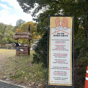 피노카페 리뷰 사진