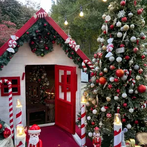 피노카페 리뷰 사진