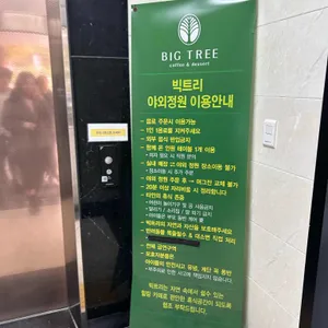 빅트리 리뷰 사진