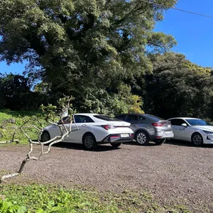 라마네 의식주 리뷰 사진