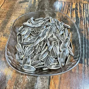 소발채찬팅 사진