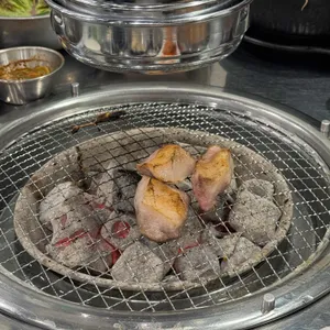 돼지 꿈 꾸는집 대표 사진