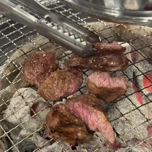 돼지 꿈 꾸는집 사진