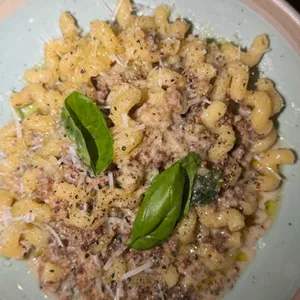 오드버드올리버 대표 사진