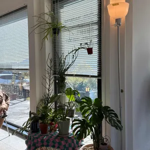 모도록 리뷰 사진