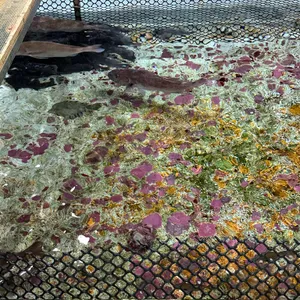 용수산회포장 리뷰 사진