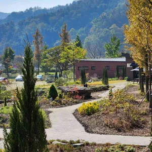 샬롬 리뷰 사진