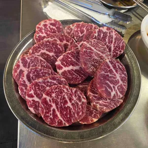 신마포갈매기 사진