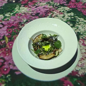 비언유주얼 사진 1