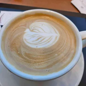 플리즈커피 대표 사진