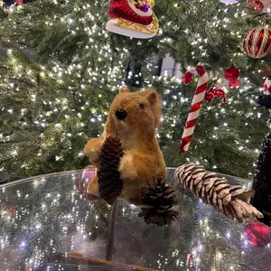 오캄 리뷰 사진