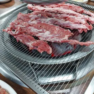 부산갈매기 대표 사진