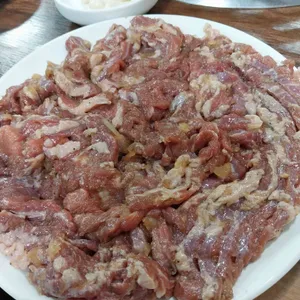 부산갈매기 대표 사진