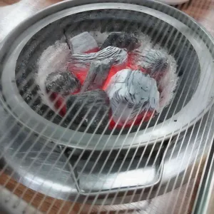 부산갈매기 사진