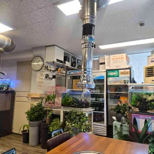 탄다디비라 리뷰 사진