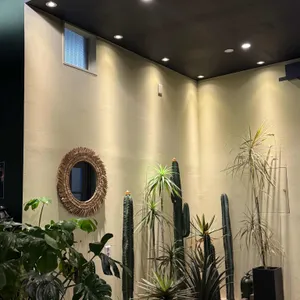 엘라토 리뷰 사진