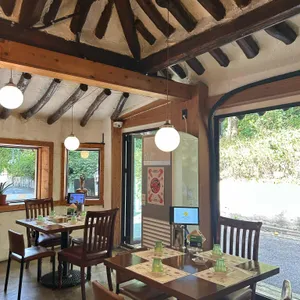 댄싱홍콩 리뷰 사진