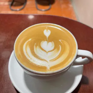 논탄토 대표 사진