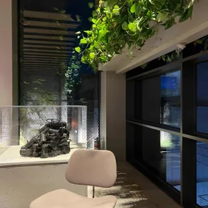 맥심플랜트 리뷰 사진