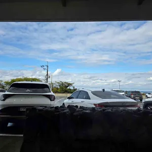 제주 도도리고기국수 리뷰 사진