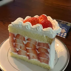 시즌즈 리뷰 사진