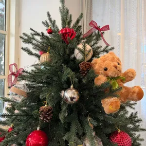 스쿱키 리뷰 사진