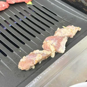 부일갈매기 사진