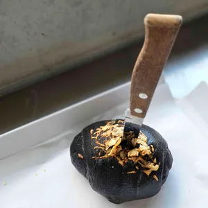 카페 힐론 사진