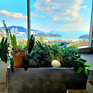 카페 힐론 리뷰 사진