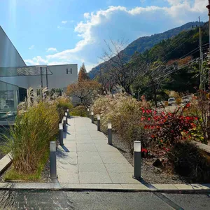 카페 힐론 리뷰 사진